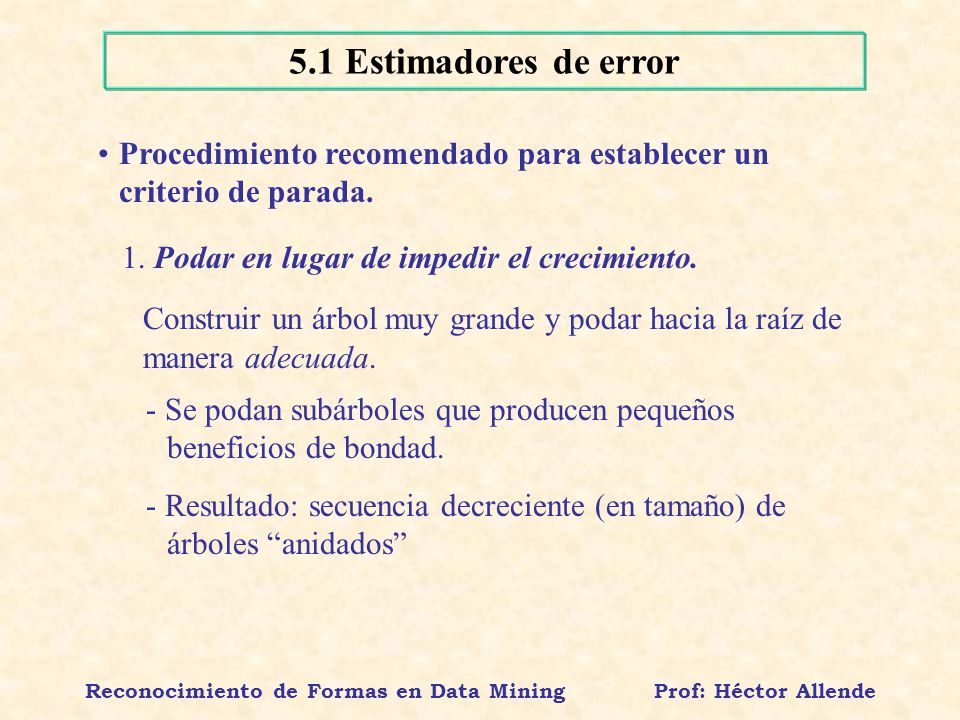 Reconocimiento de Formas en Data Mining Prof: Héctor Allende