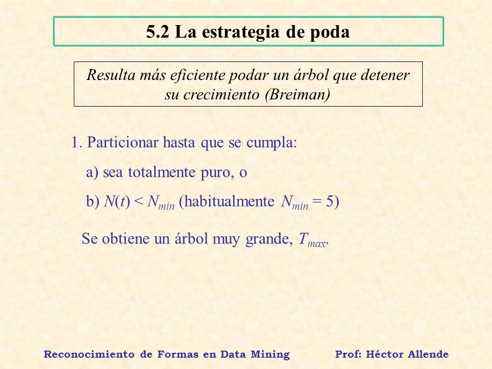 Reconocimiento de Formas en Data Mining Prof: Héctor Allende