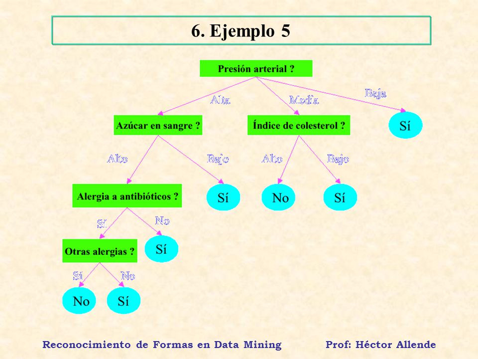 Reconocimiento de Formas en Data Mining Prof: Héctor Allende