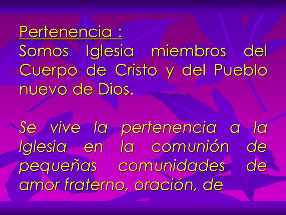 Pertenencia : Somos Iglesia miembros del Cuerpo de Cristo y del Pueblo nuevo de Dios.