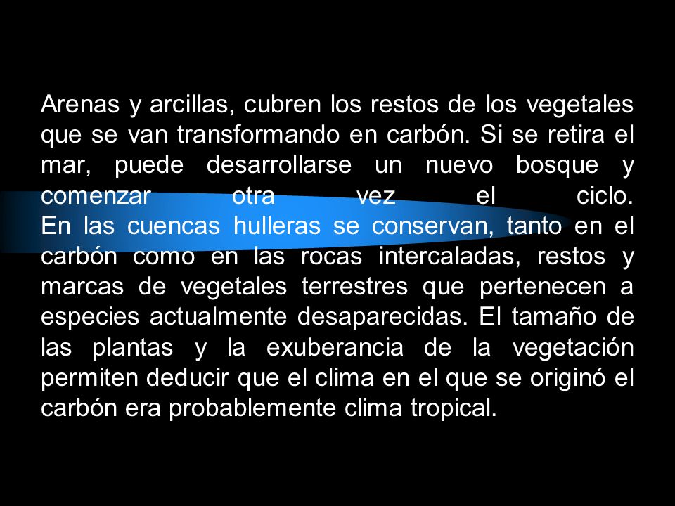 Arenas y arcillas, cubren los restos de los vegetales que se van transformando en carbón. Si se retira el mar, puede desarrollarse un nuevo bosque y comenzar otra vez el ciclo. En las cuencas hulleras se conservan, tanto en el carbón como en las rocas intercaladas, restos y marcas de vegetales terrestres que pertenecen a especies actualmente desaparecidas. El tamaño de las plantas y la exuberancia de la vegetación permiten deducir que el clima en el que se originó el carbón era probablemente clima tropical.