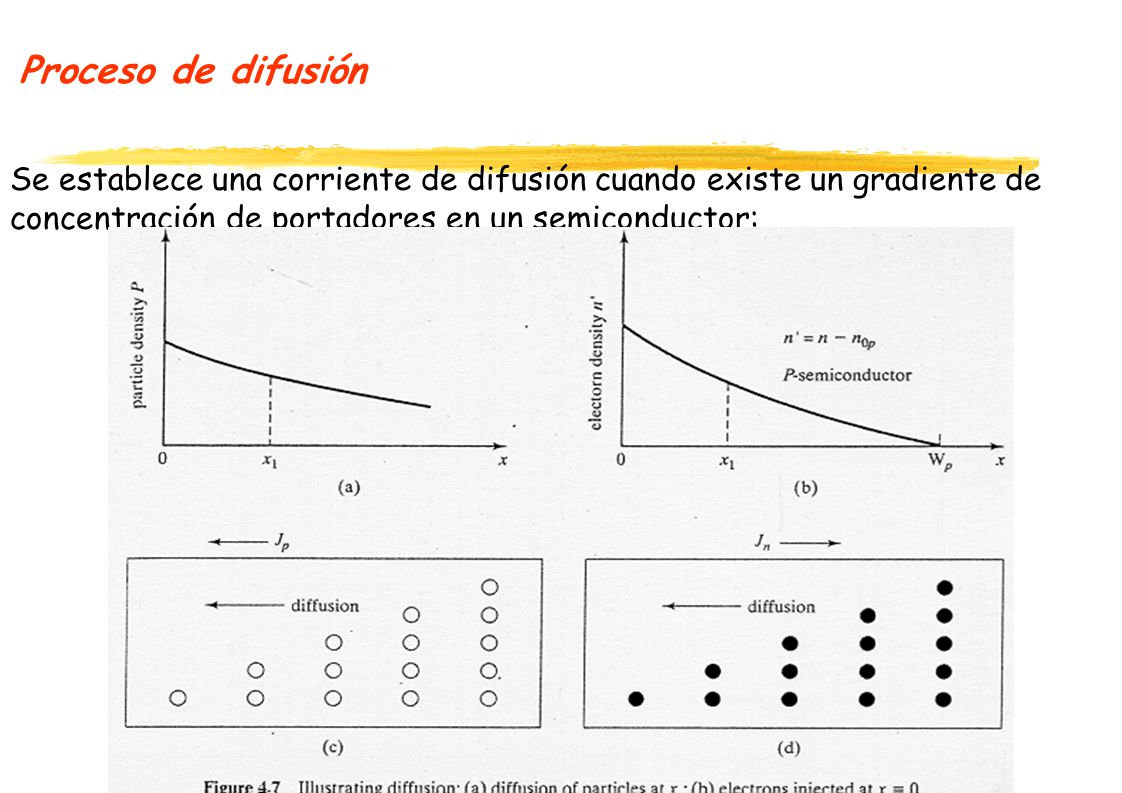 Proceso de difusión Se establece una corriente de difusión cuando existe un gradiente de concentración de portadores en un semiconductor: