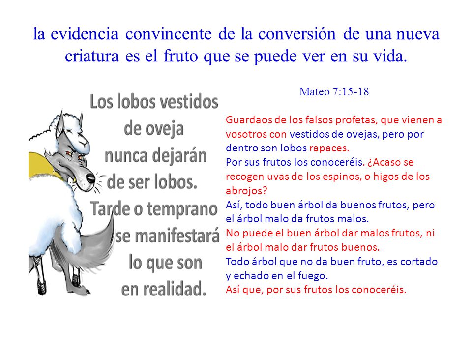 la evidencia convincente de la conversión de una nueva criatura es el fruto que se puede ver en su vida.