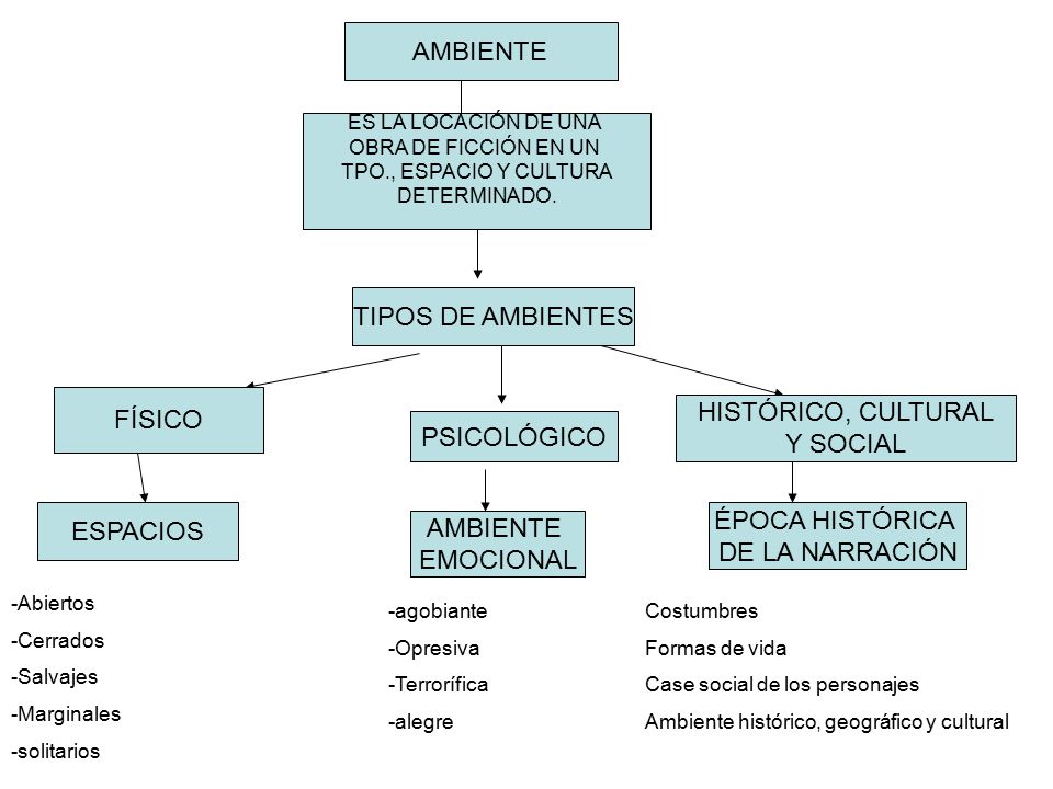 AMBIENTE TIPOS DE AMBIENTES FÍSICO HISTÓRICO, CULTURAL Y SOCIAL