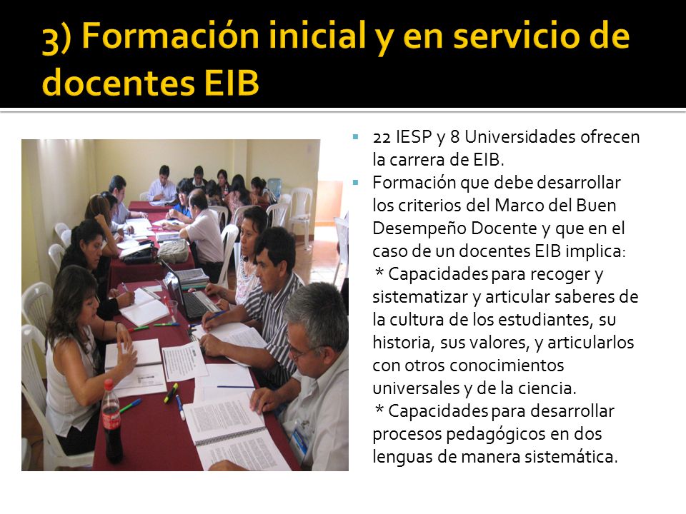 3) Formación inicial y en servicio de docentes EIB