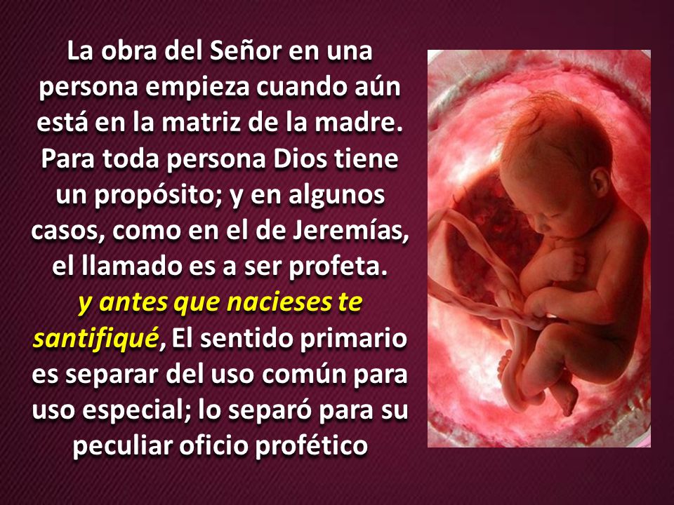 La obra del Señor en una persona empieza cuando aún está en la matriz de la madre. Para toda persona Dios tiene un propósito; y en algunos casos, como en el de Jeremías, el llamado es a ser profeta.