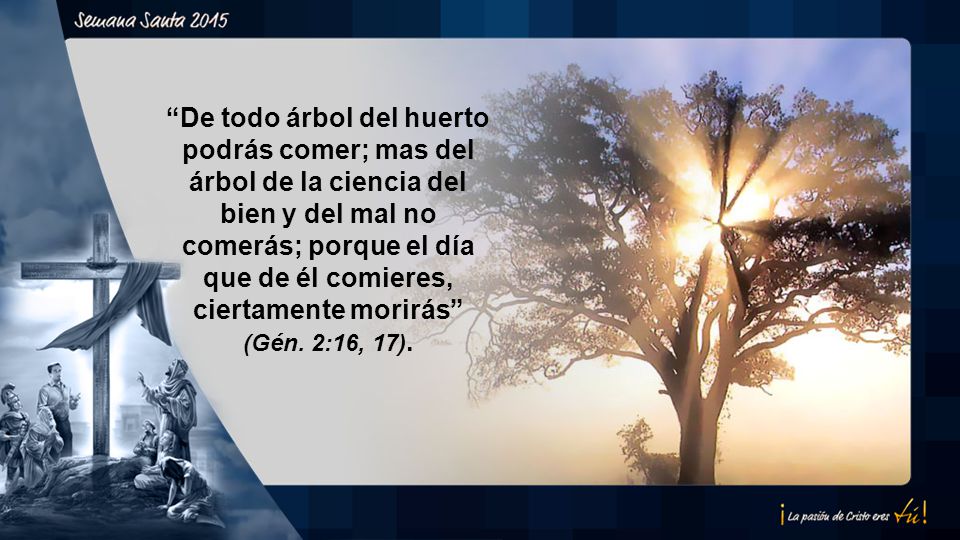 De todo árbol del huerto podrás comer; mas del árbol de la ciencia del bien y del mal no comerás; porque el día que de él comieres, ciertamente morirás (Gén.
