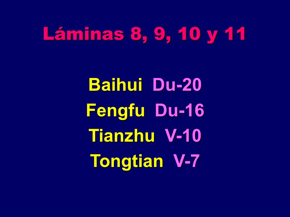 Láminas 8, 9, 10 y 11 Baihui Du-20 Fengfu Du-16 Tianzhu V-10 Tongtian V-7