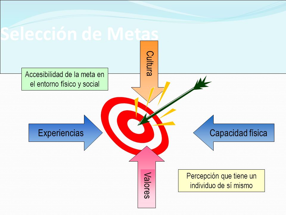 Selección de Metas Cultura Experiencias Capacidad física Valores
