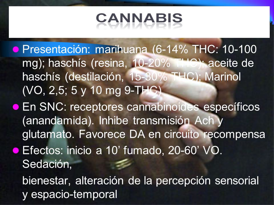 Presentación: marihuana (6-14% THC: mg); haschís (resina, 10-20% THC); aceite de haschís (destilación, 15-30% THC); Marinol (VO, 2,5; 5 y 10 mg 9-THC)