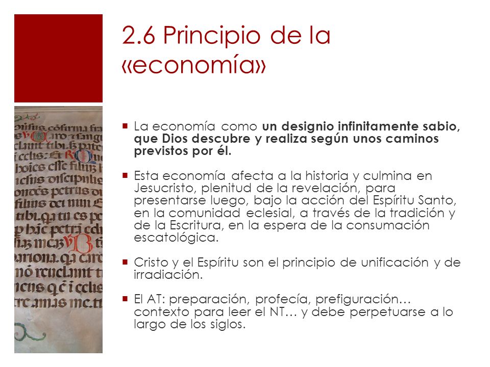 2.6 Principio de la «economía»