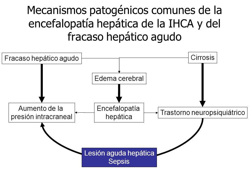 Mecanismos patogénicos comunes de la encefalopatía hepática de la IHCA y del fracaso hepático agudo