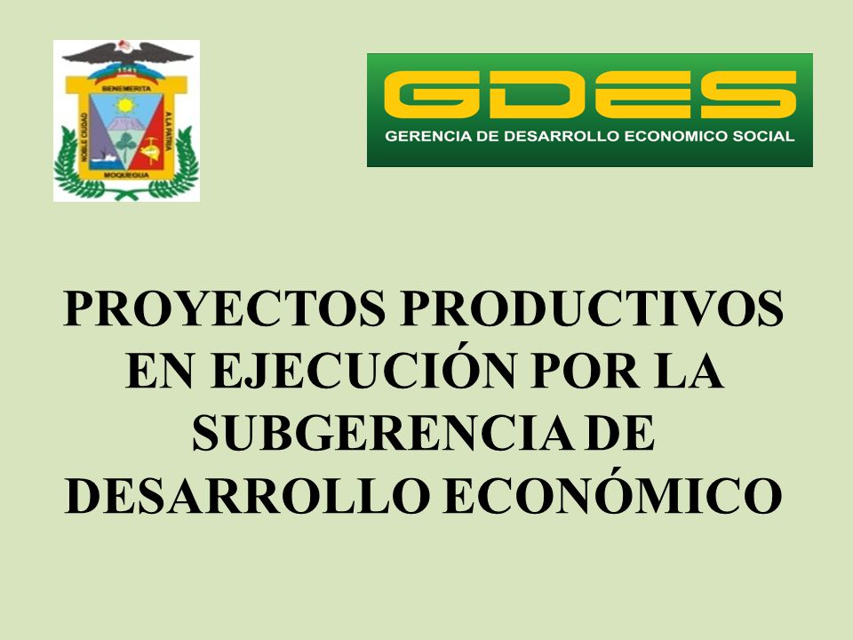 PROYECTOS PRODUCTIVOS EN EJECUCIÓN POR LA SUBGERENCIA DE DESARROLLO ECONÓMICO