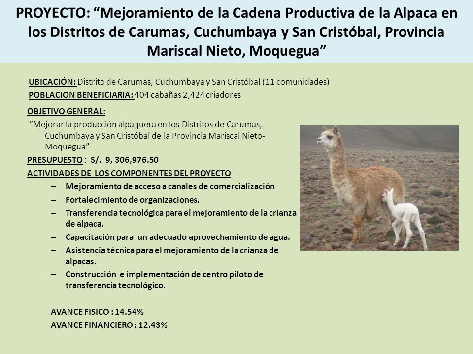PROYECTO: Mejoramiento de la Cadena Productiva de la Alpaca en los Distritos de Carumas, Cuchumbaya y San Cristóbal, Provincia Mariscal Nieto, Moquegua