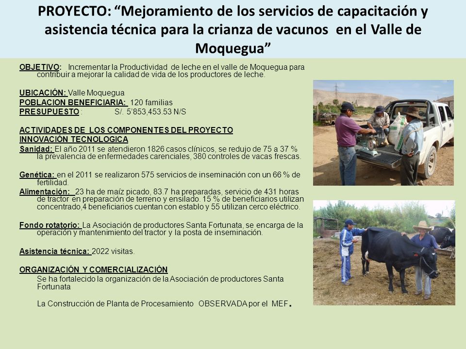 PROYECTO: Mejoramiento de los servicios de capacitación y asistencia técnica para la crianza de vacunos en el Valle de Moquegua