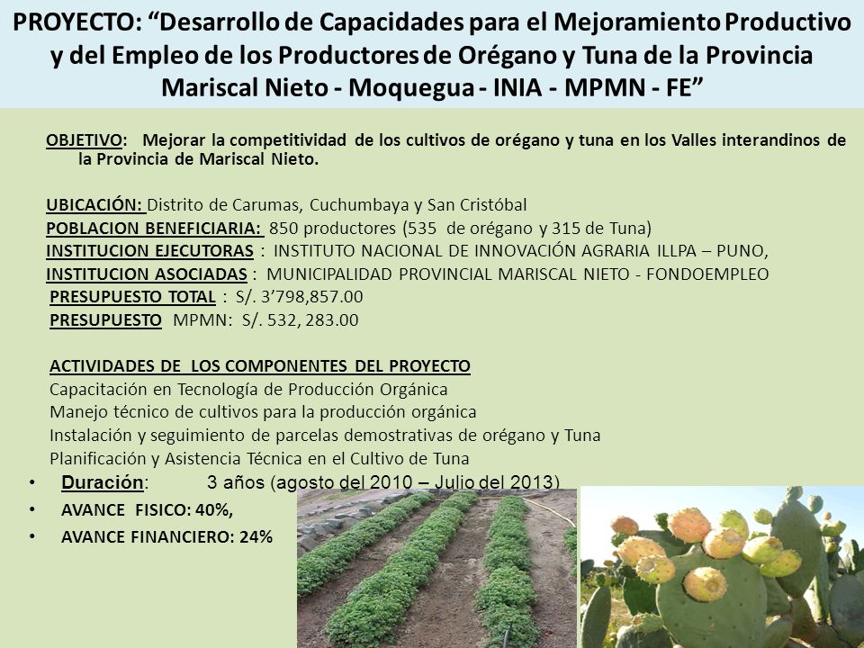 PROYECTO: Desarrollo de Capacidades para el Mejoramiento Productivo y del Empleo de los Productores de Orégano y Tuna de la Provincia Mariscal Nieto - Moquegua - INIA - MPMN - FE