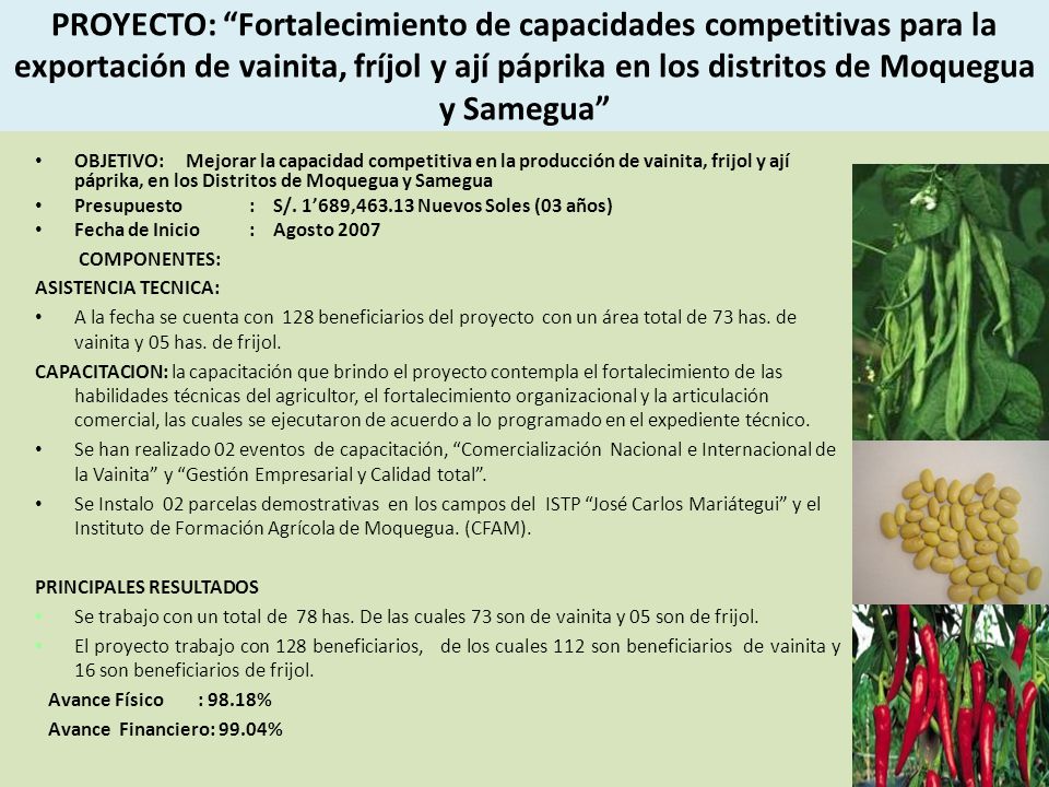 PROYECTO: Fortalecimiento de capacidades competitivas para la exportación de vainita, fríjol y ají páprika en los distritos de Moquegua y Samegua