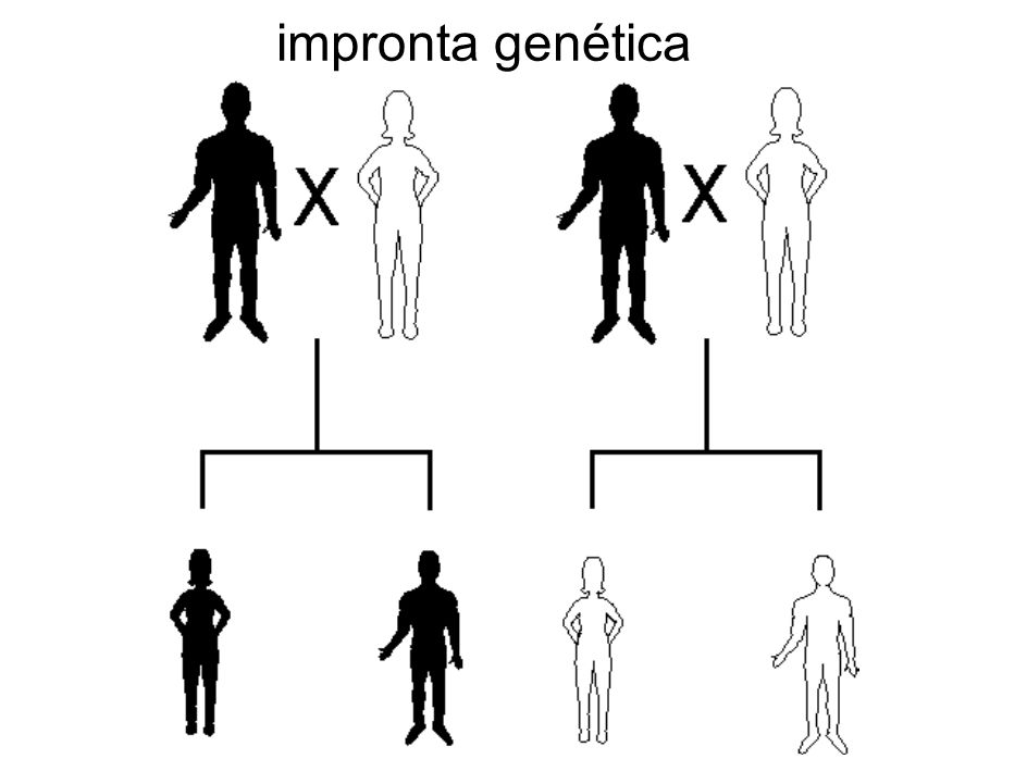 impronta genética   CourseNum=2&LessonNum=2.