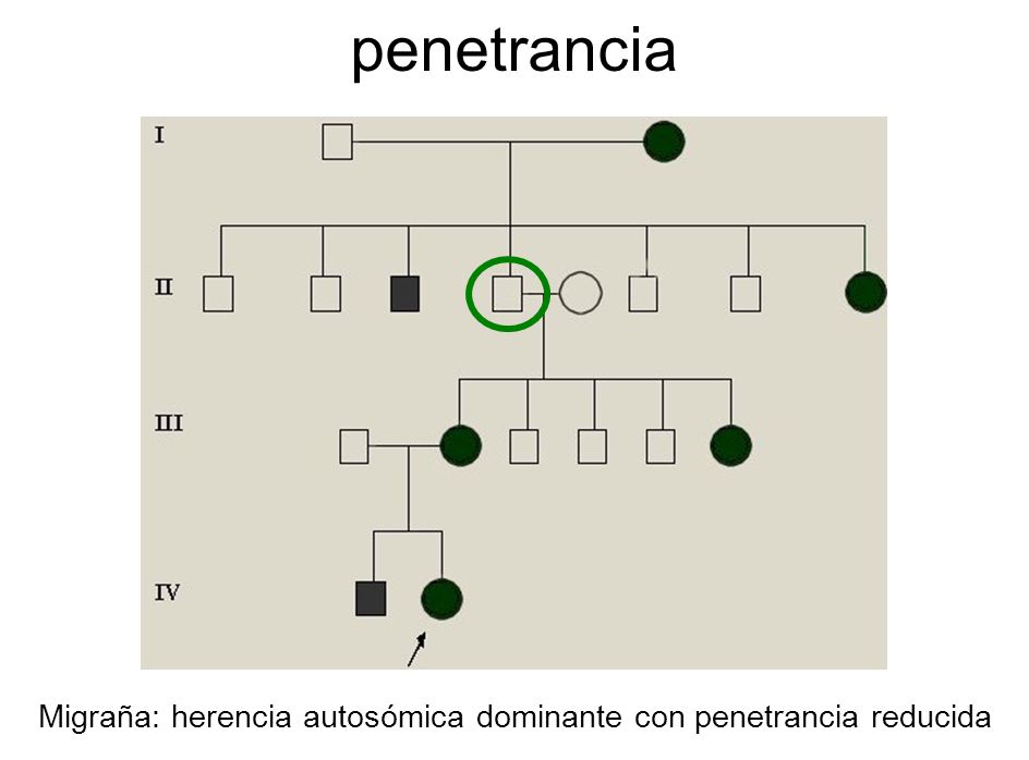 penetrancia El individuo II.4 debe ser portador del alelo dominante, pero no se manifiesta en su fenotipo.