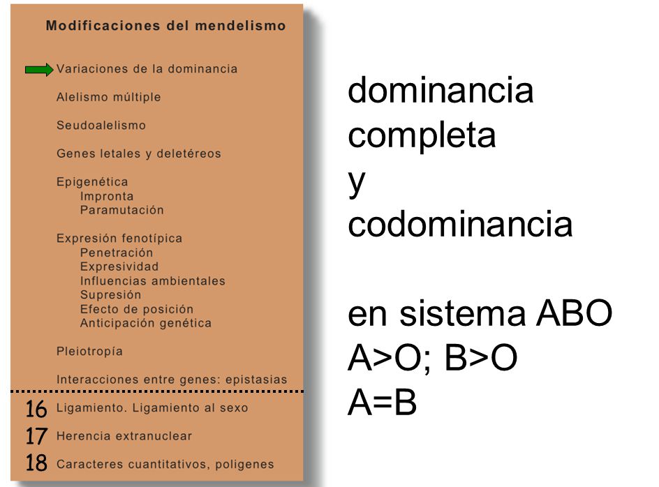 dominancia completa y codominancia en sistema ABO A>O; B>O A=B