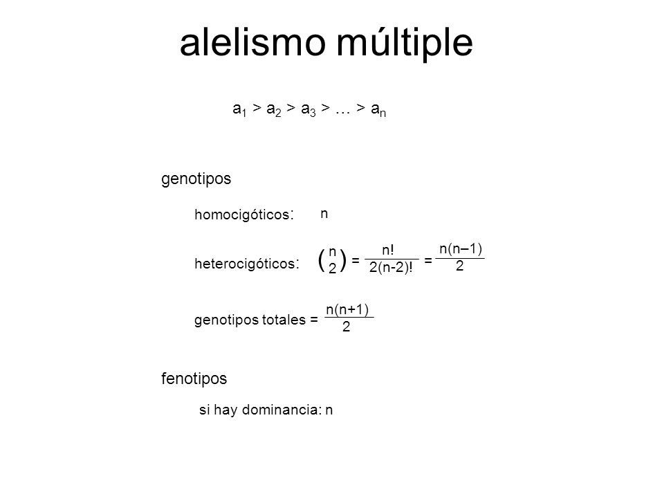 alelismo múltiple ( ) a1 > a2 > a3 > … > an genotipos