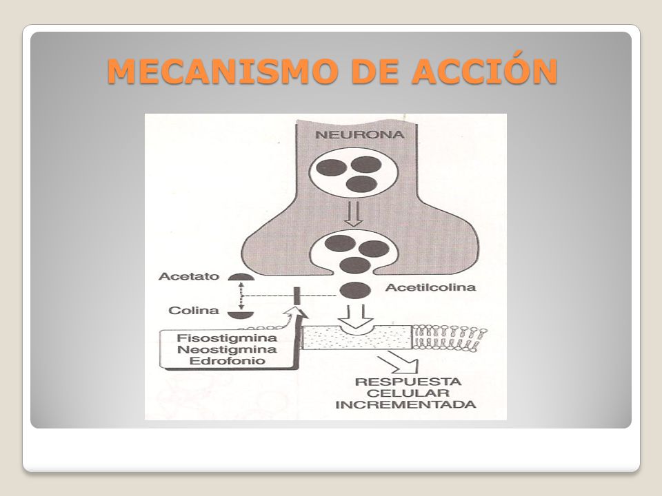 MECANISMO DE ACCIÓN