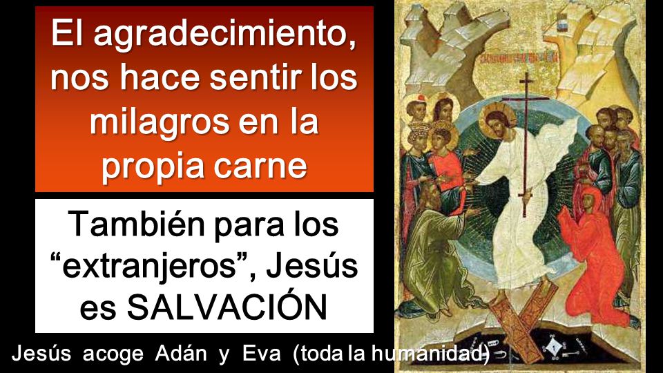 El agradecimiento, nos hace sentir los milagros en la propia carne