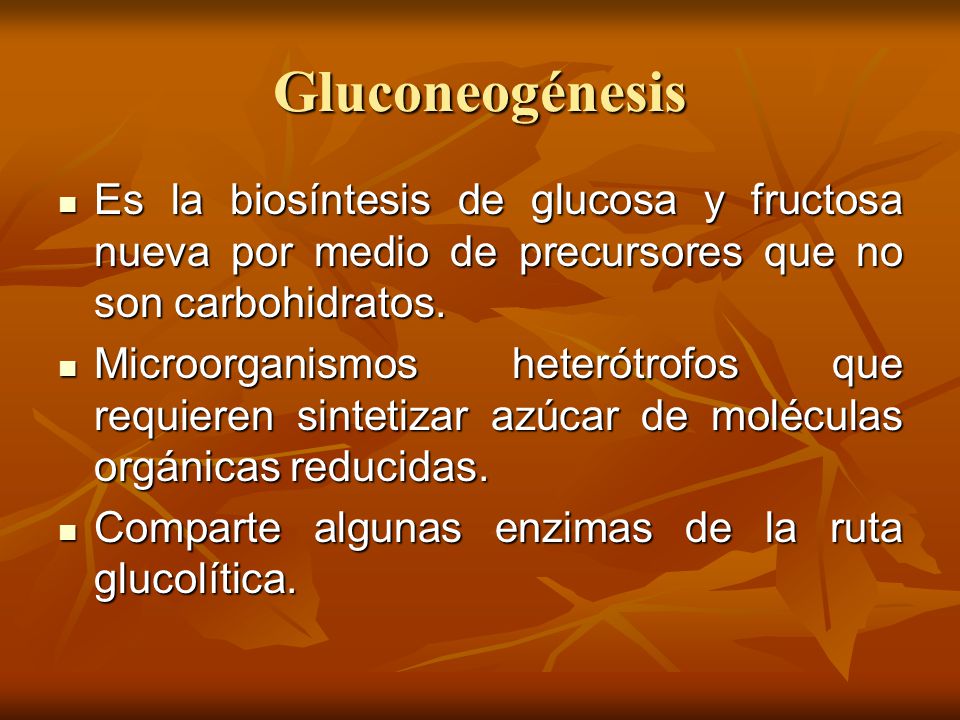 Gluconeogénesis Es la biosíntesis de glucosa y fructosa nueva por medio de precursores que no son carbohidratos.