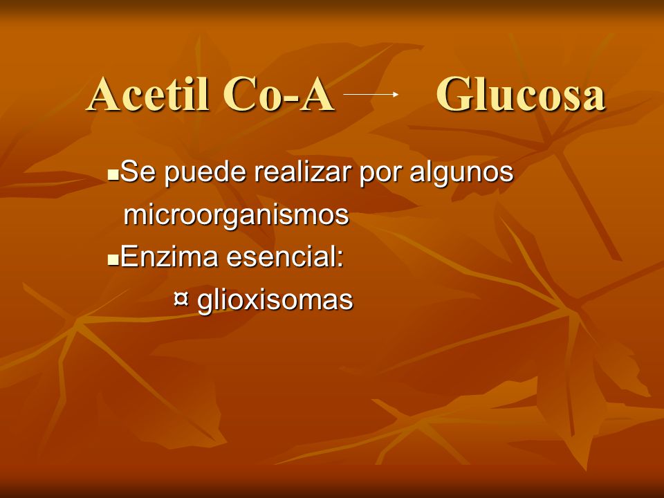 Acetil Co-A Glucosa Se puede realizar por algunos microorganismos