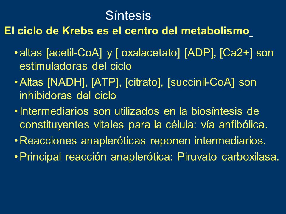Síntesis El ciclo de Krebs es el centro del metabolismo