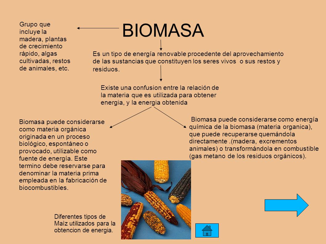 BIOMASA Grupo que incluye la madera, plantas de crecimiento rápido, algas cultivadas, restos de animales, etc.