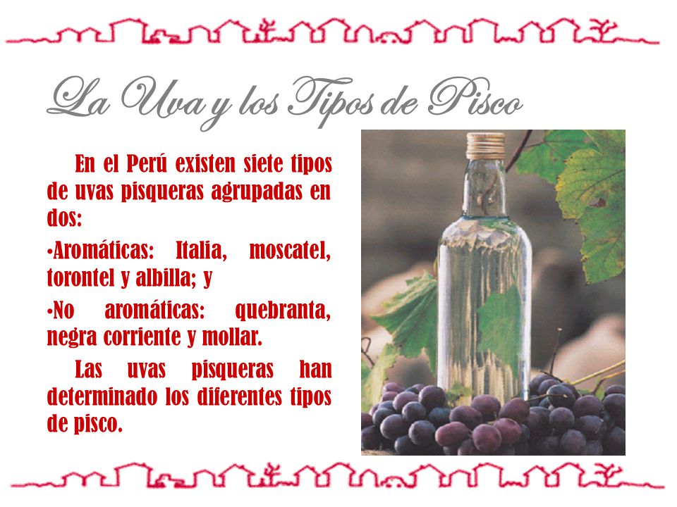 La Uva y los Tipos de Pisco