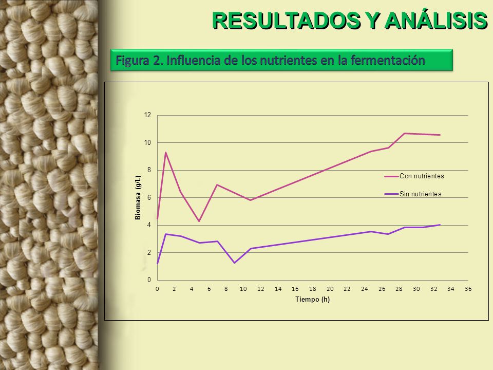 RESULTADOS Y ANÁLISIS Figura 2. Influencia de los nutrientes en la fermentación
