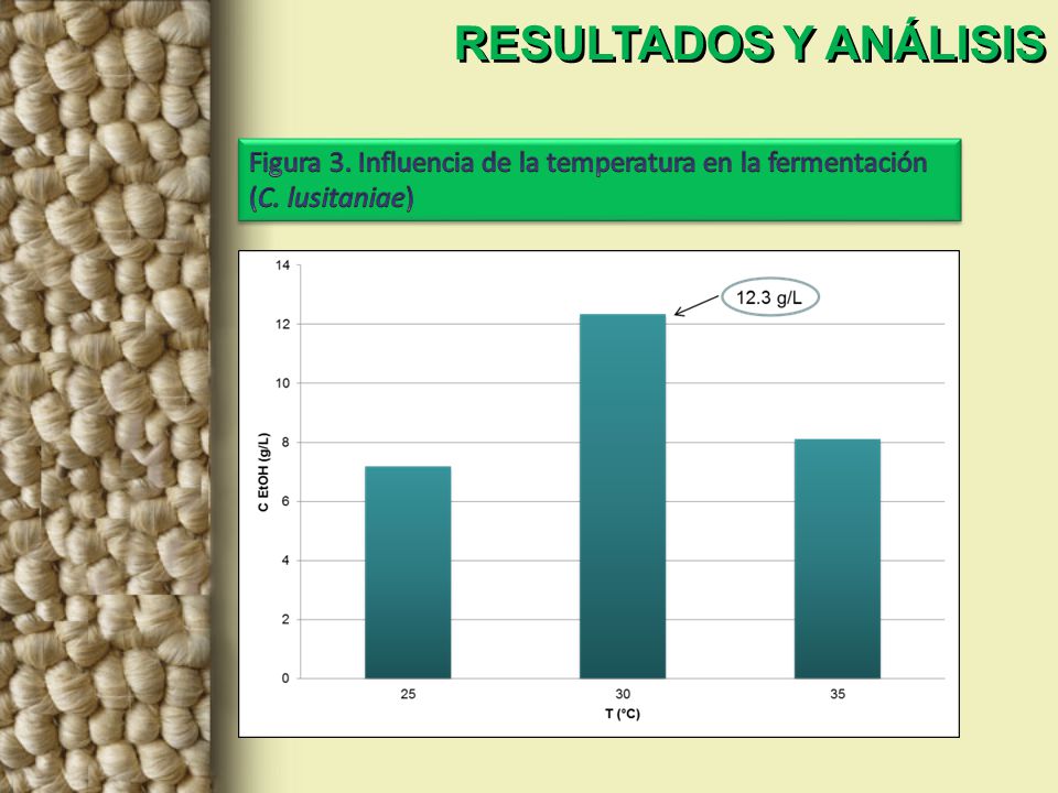 RESULTADOS Y ANÁLISIS Figura 3. Influencia de la temperatura en la fermentación (C. lusitaniae)