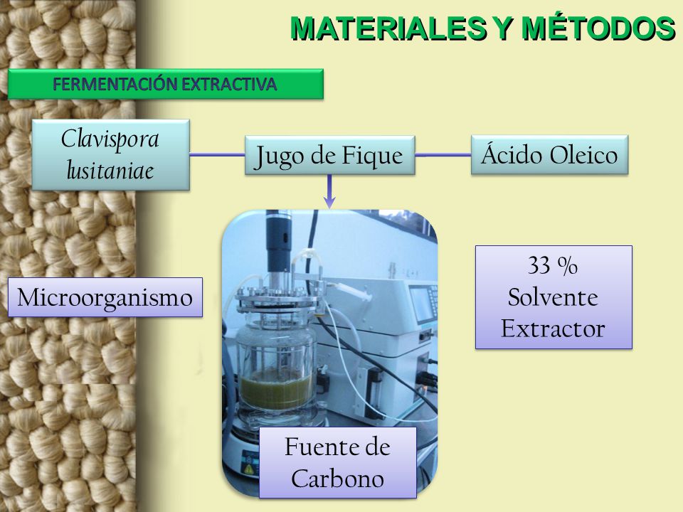 MATERIALES Y MÉTODOS Clavispora lusitaniae Jugo de Fique Ácido Oleico