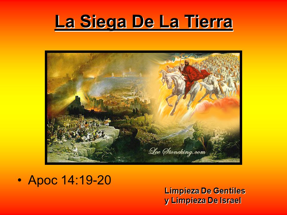 La Siega De La Tierra Apoc 14:19-20 Limpieza De Gentiles