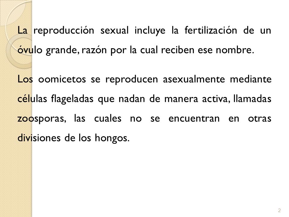 La reproducción sexual incluye la fertilización de un óvulo grande, razón por la cual reciben ese nombre.