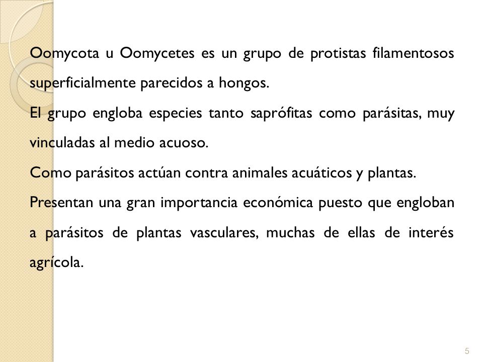 Oomycota u Oomycetes es un grupo de protistas filamentosos superficialmente parecidos a hongos.