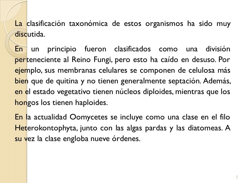 La clasificación taxonómica de estos organismos ha sido muy discutida