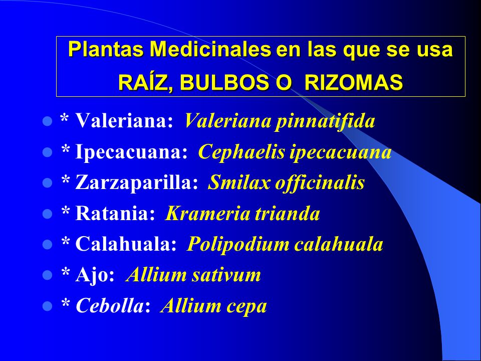 Plantas Medicinales en las que se usa RAÍZ, BULBOS O RIZOMAS
