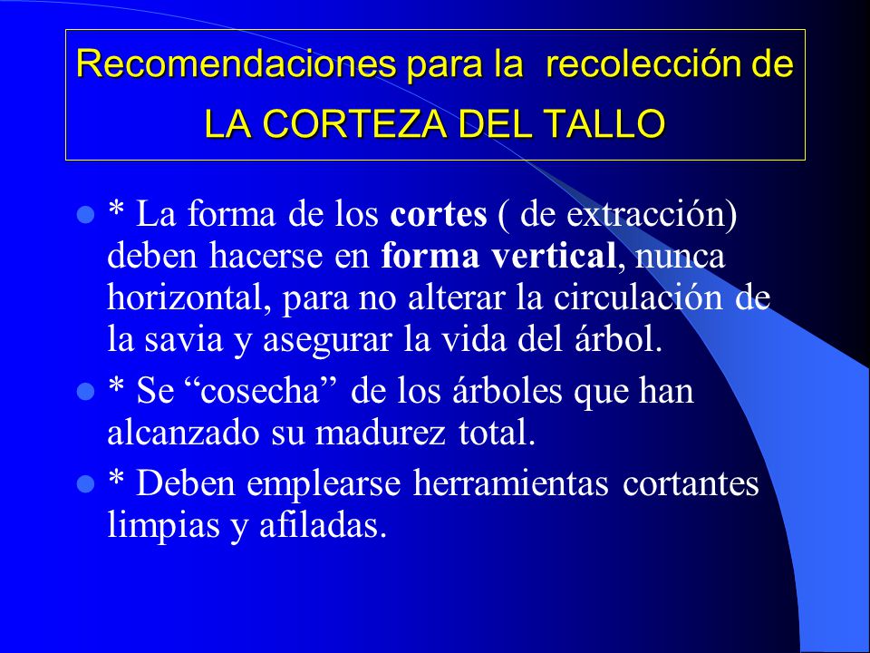 Recomendaciones para la recolección de LA CORTEZA DEL TALLO