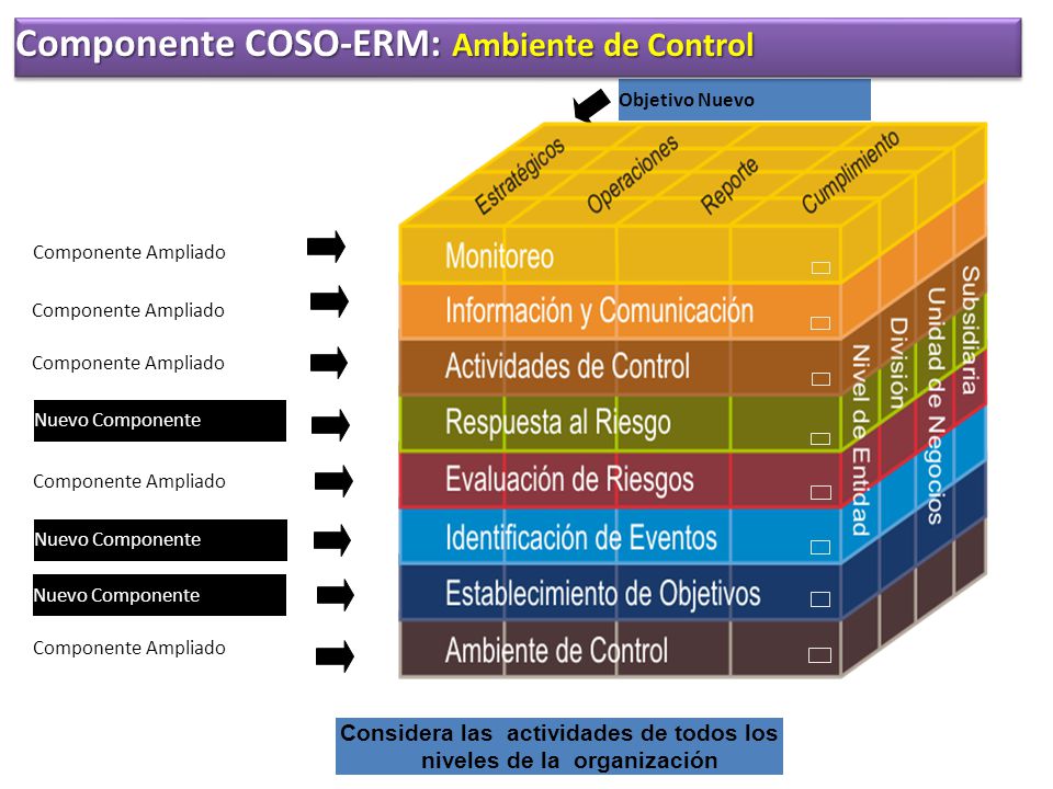 Considera las actividades de todos los niveles de la organización