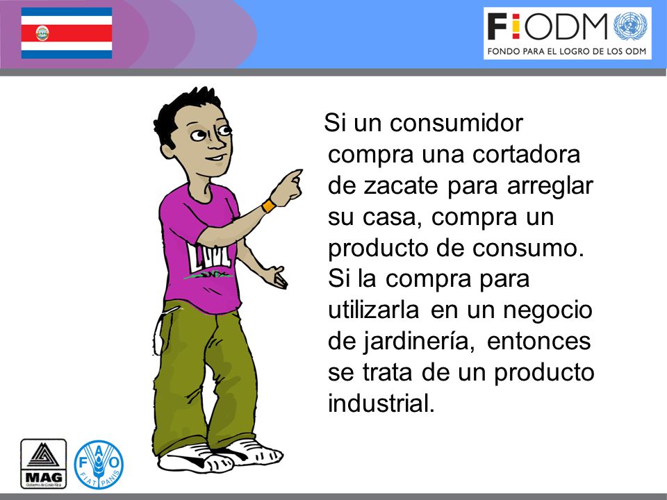 Si un consumidor compra una cortadora de zacate para arreglar su casa, compra un producto de consumo.