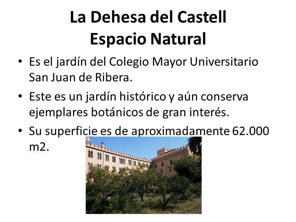 La Dehesa del Castell Espacio Natural