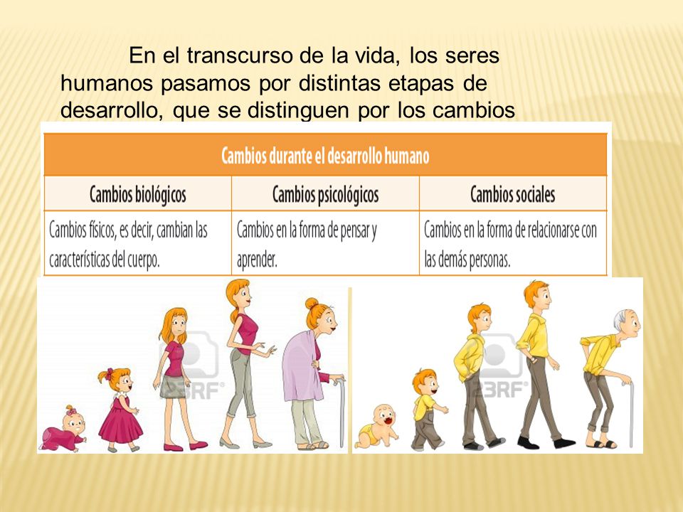 En el transcurso de la vida, los seres humanos pasamos por distintas etapas de desarrollo, que se distinguen por los cambios físicos, psicológicos y sociales que experimentamos.