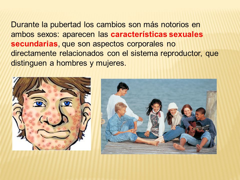 Durante la pubertad los cambios son más notorios en ambos sexos: aparecen las características sexuales secundarias, que son aspectos corporales no directamente relacionados con el sistema reproductor, que distinguen a hombres y mujeres.