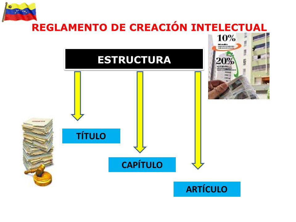 REGLAMENTO DE CREACIÓN INTELECTUAL