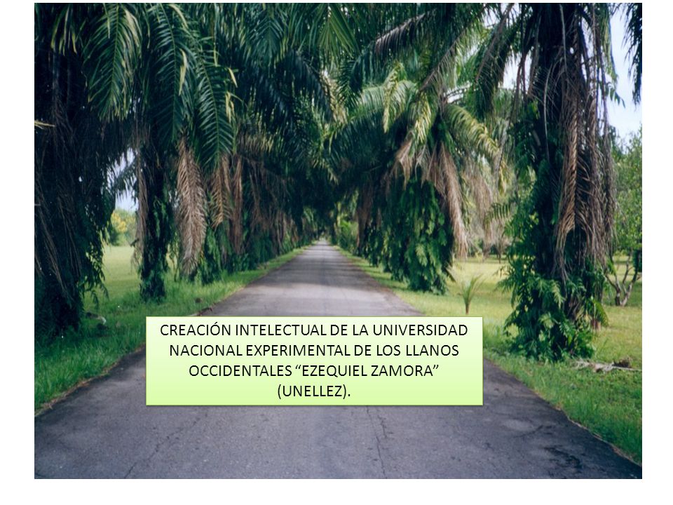 CREACIÓN INTELECTUAL DE LA UNIVERSIDAD NACIONAL EXPERIMENTAL DE LOS LLANOS OCCIDENTALES EZEQUIEL ZAMORA (UNELLEZ).