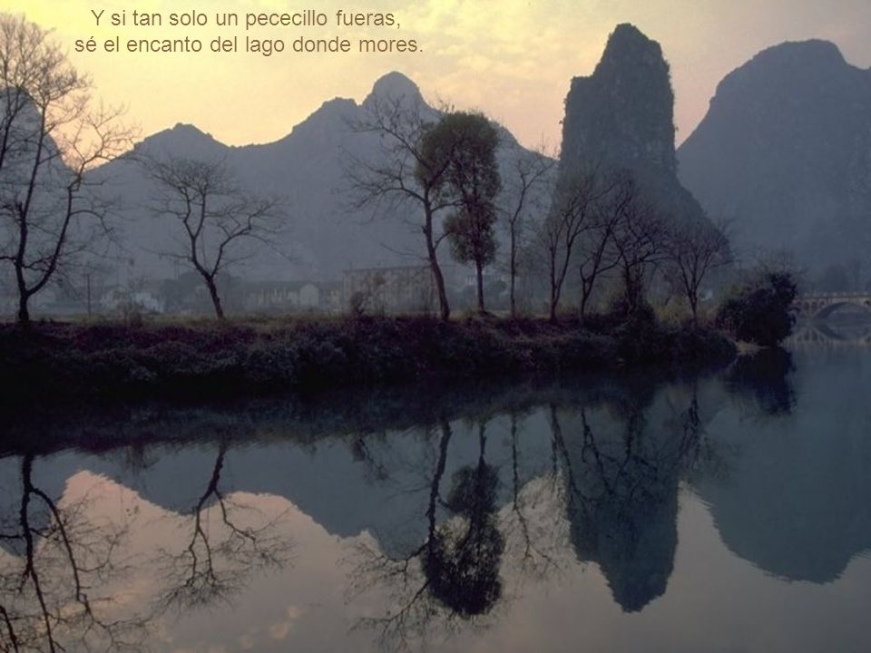 Y si tan solo un pececillo fueras, sé el encanto del lago donde mores.