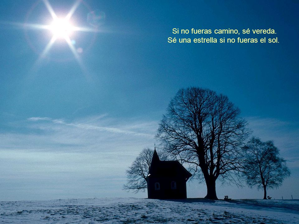 Si no fueras camino, sé vereda. Sé una estrella si no fueras el sol.